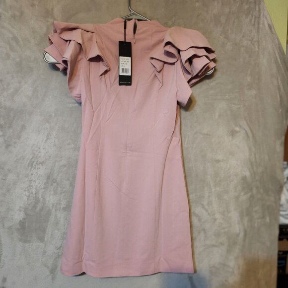 Elliatt Nordstrom Rare Chic‎ Elegant Tanner Blush Pink Ruffle Sleeve Mini Dress - Picture 5 of 8